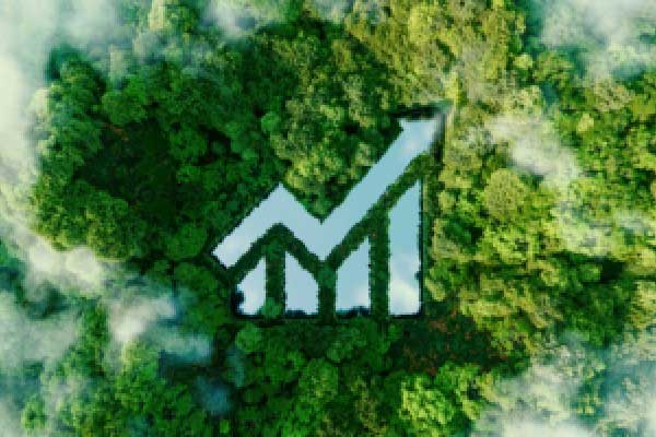 橘宜集团公布2025年全年业绩：收入突破43亿元，同比增长22%